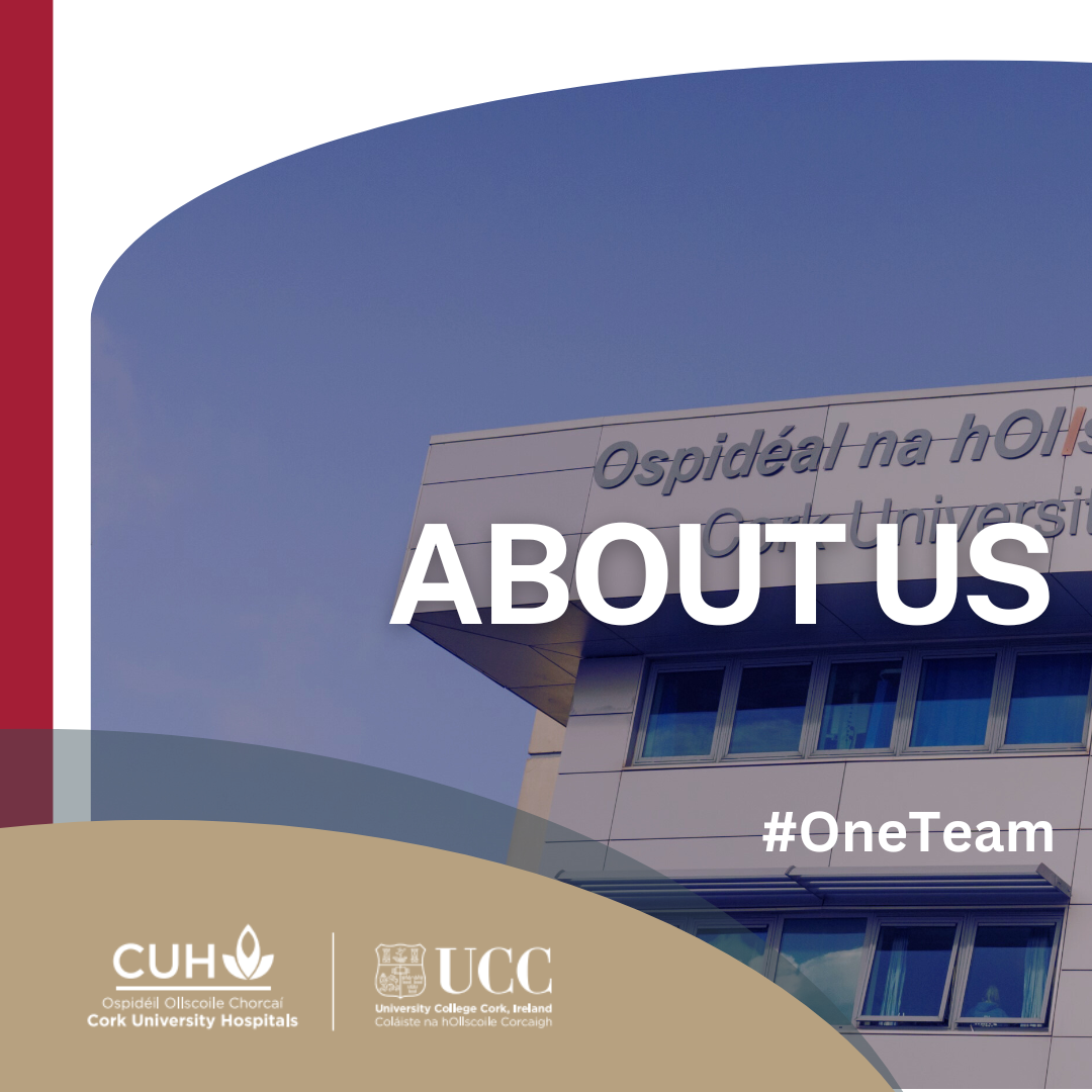 About Us